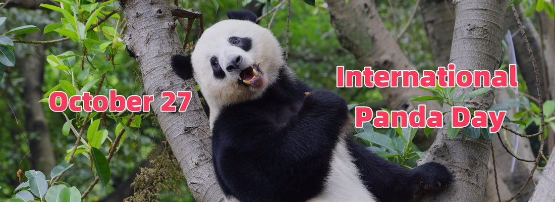 October 27, International Panda Day