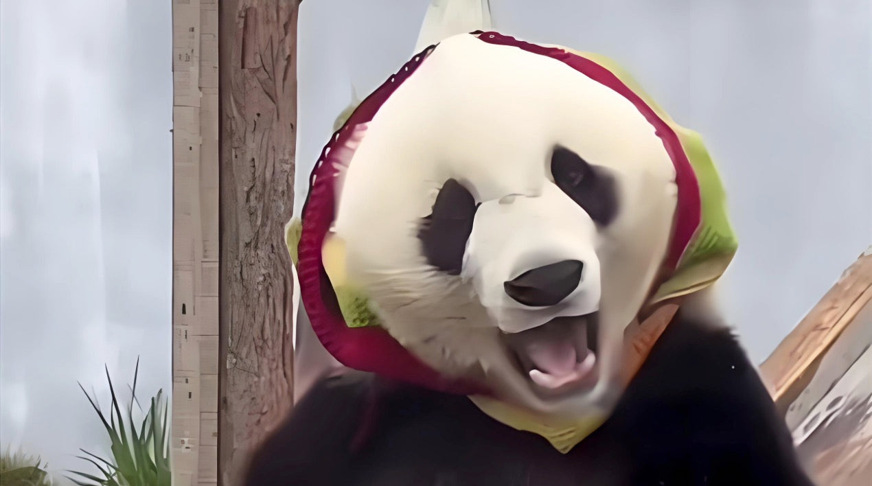 Panda Fu Fu-Panda Design