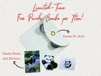 Lucky Panda Kindergarten Bracelet-Golden - Panda Design